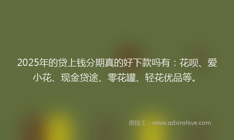 2025年的贷上钱分期真的好下款吗有：花呗、爱小花、现金贷途、零花罐、轻花优品等。