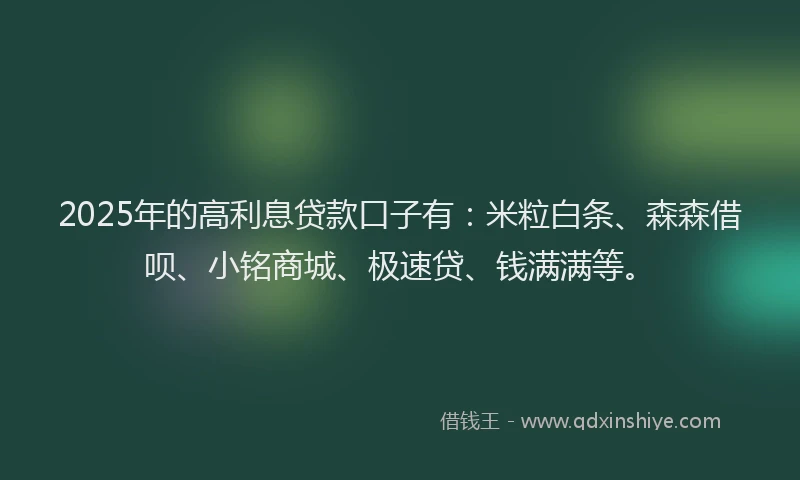2025年的高利息贷款口子有：米粒白条、森森借呗、小铭商城、极速贷、钱满满等。