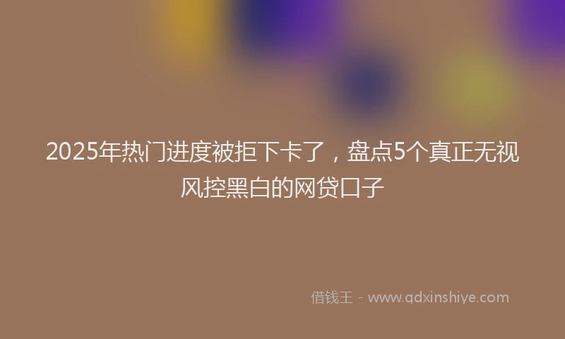 2025年热门进度被拒下卡了，盘点5个真正无视风控黑白的网贷口子