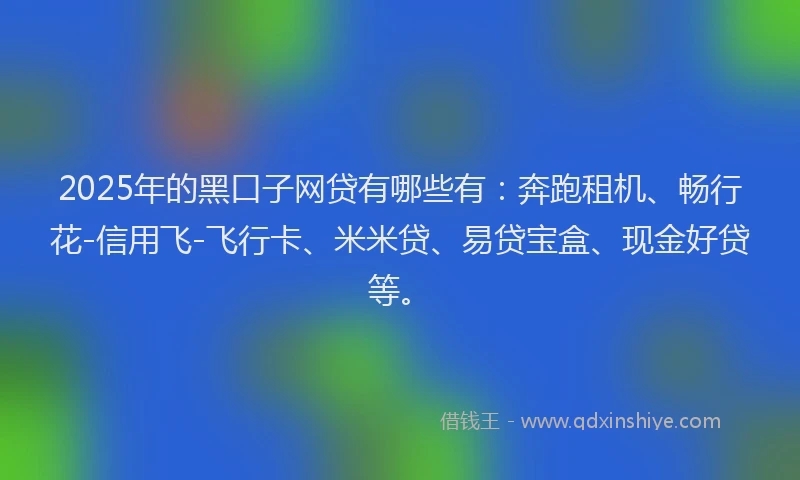 2025年的黑口子网贷有哪些有：奔跑租机、畅行花-信用飞-飞行卡、米米贷、易贷宝盒、现金好贷等。