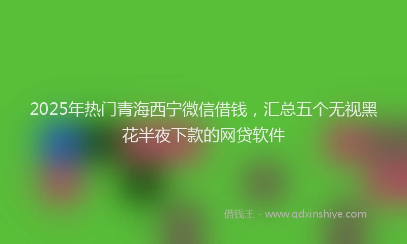 2025年热门青海西宁微信借钱，汇总五个无视黑花半夜下款的网贷软件
