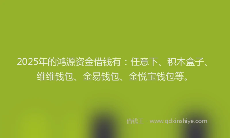 2025年的鸿源资金借钱有：任意下、积木盒子、维维钱包、金易钱包、金悦宝钱包等。
