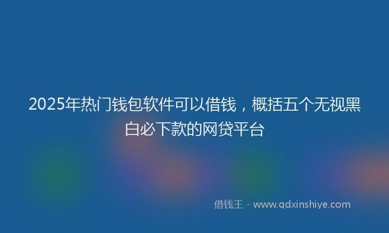 2025年热门钱包软件可以借钱，概括五个无视黑白必下款的网贷平台