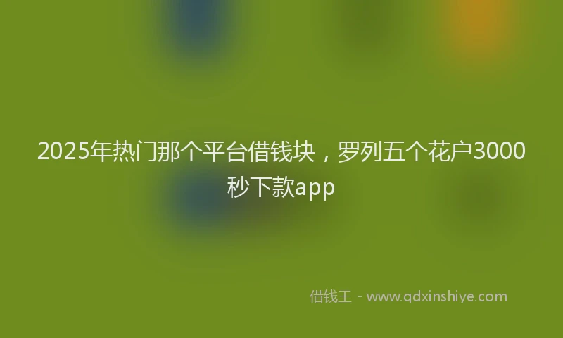 2025年热门那个平台借钱块，罗列五个花户3000秒下款app