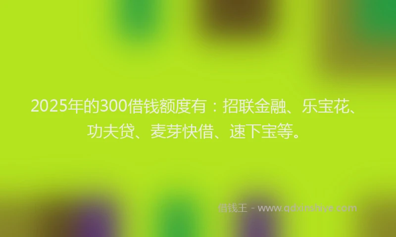 2025年的300借钱额度有：招联金融、乐宝花、功夫贷、麦芽快借、速下宝等。