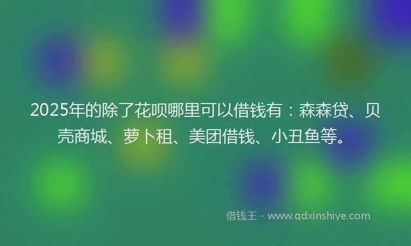 2025年的除了花呗哪里可以借钱有：森森贷、贝壳商城、萝卜租、美团借钱、小丑鱼等。