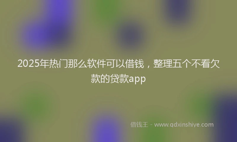 2025年热门那么软件可以借钱，整理五个不看欠款的贷款app
