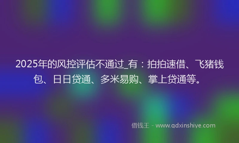 2025年的风控评估不通过_有：拍拍速借、飞猪钱包、日日贷通、多米易购、掌上贷通等。