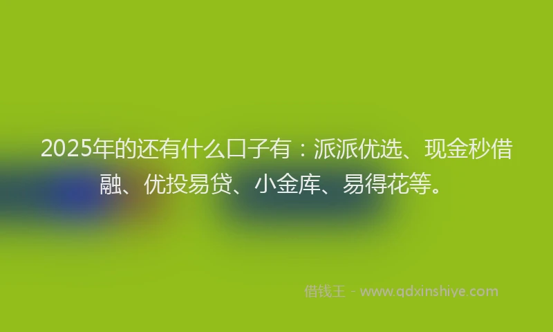 2025年的还有什么口子有：派派优选、现金秒借融、优投易贷、小金库、易得花等。