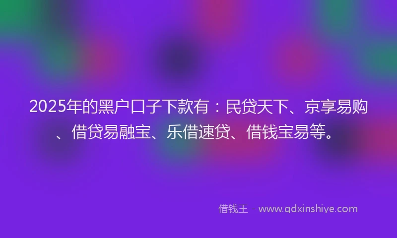 2025年的黑户口子下款有：民贷天下、京享易购、借贷易融宝、乐借速贷、借钱宝易等。