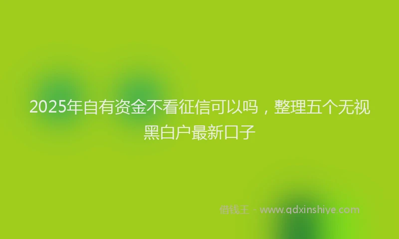 2025年自有资金不看征信可以吗，整理五个无视黑白户最新口子