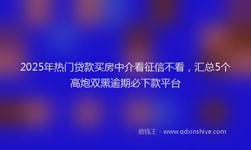 2025年热门贷款买房中介看征信不看，汇总5个高炮双黑逾期必下款平台