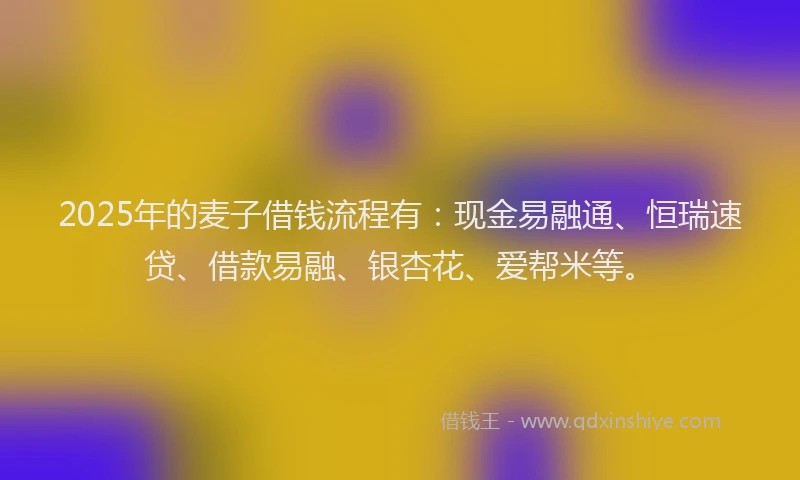 2025年的麦子借钱流程有：现金易融通、恒瑞速贷、借款易融、银杏花、爱帮米等。