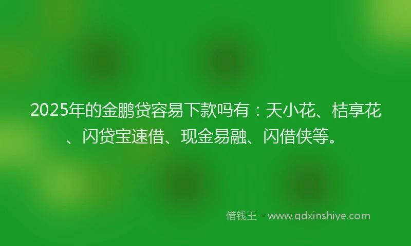 2025年的金鹏贷容易下款吗有：天小花、桔享花、闪贷宝速借、现金易融、闪借侠等。