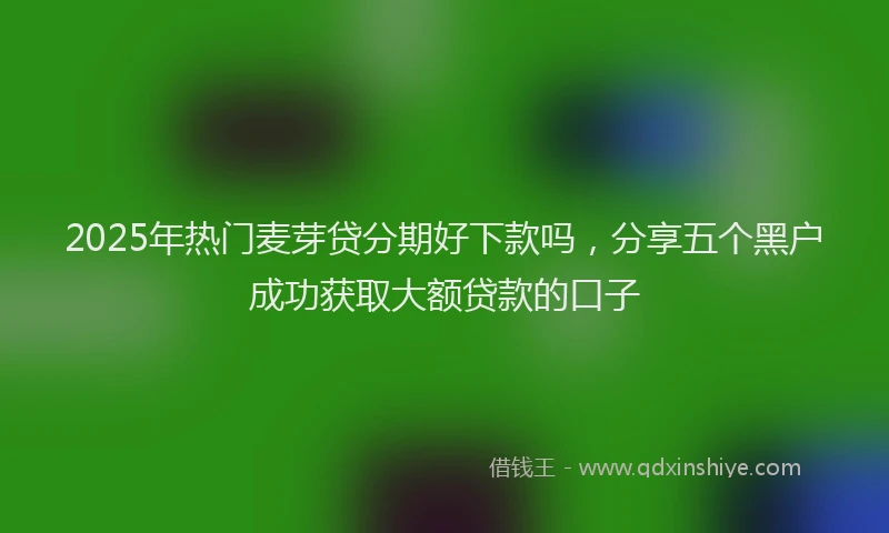 2025年热门麦芽贷分期好下款吗，分享五个黑户成功获取大额贷款的口子