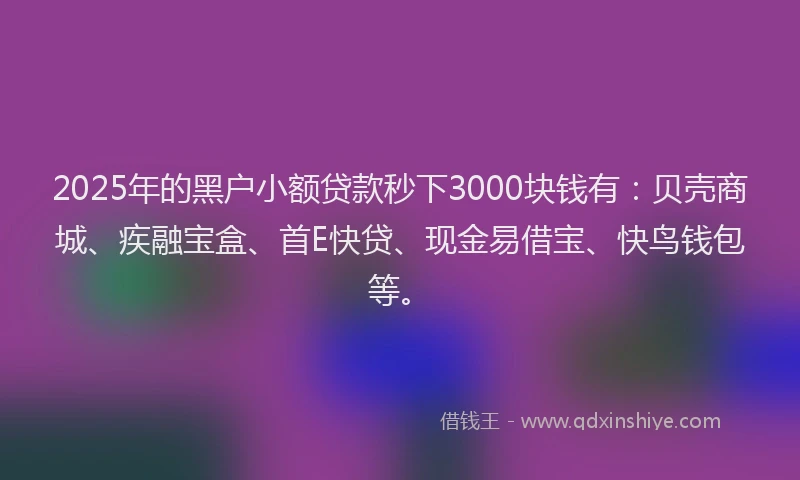 2025年的黑户小额贷款秒下3000块钱有：贝壳商城、疾融宝盒、首E快贷、现金易借宝、快鸟钱包等。