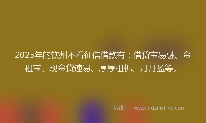 2025年的钦州不看征信借款有：借贷宝易融、金租宝、现金贷速易、厚厚租机、月月盈等。