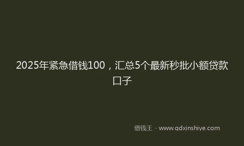2025年紧急借钱100，汇总5个最新秒批小额贷款口子