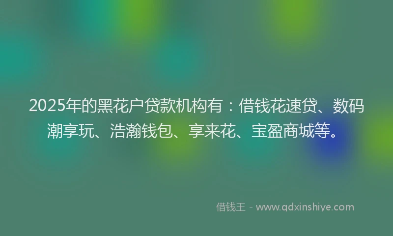 2025年的黑花户贷款机构有：借钱花速贷、数码潮享玩、浩瀚钱包、享来花、宝盈商城等。