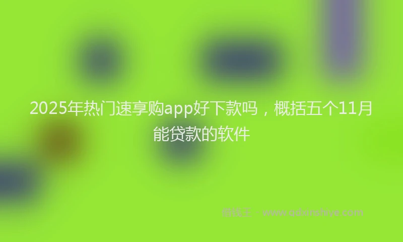 2025年热门速享购app好下款吗，概括五个11月能贷款的软件