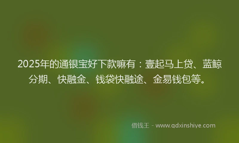 2025年的通银宝好下款嘛有：壹起马上贷、蓝鲸分期、快融金、钱袋快融途、金易钱包等。