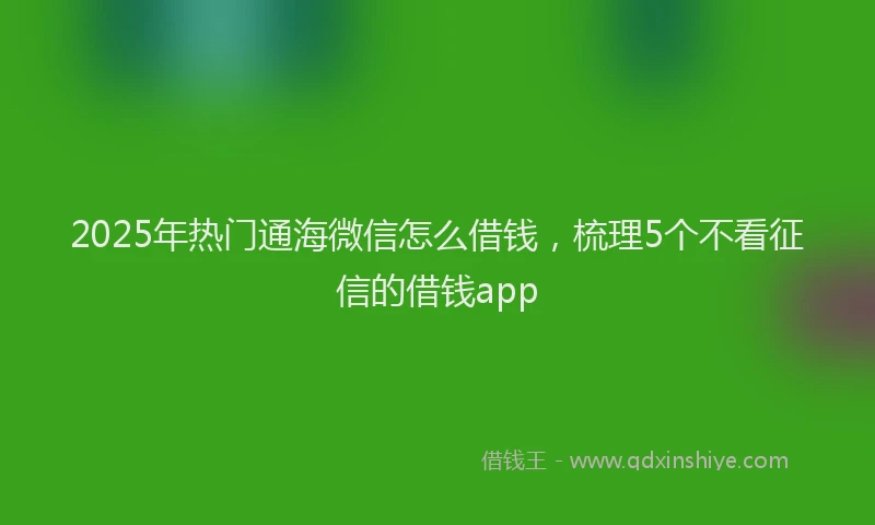 2025年热门通海微信怎么借钱，梳理5个不看征信的借钱app