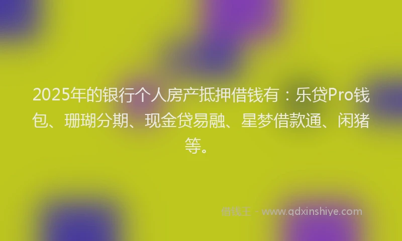 2025年的银行个人房产抵押借钱有：乐贷Pro钱包、珊瑚分期、现金贷易融、星梦借款通、闲猪等。
