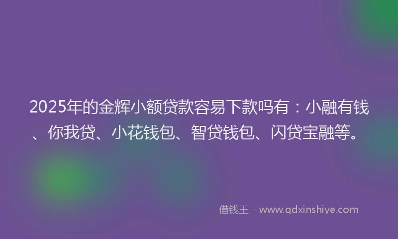 2025年的金辉小额贷款容易下款吗有：小融有钱、你我贷、小花钱包、智贷钱包、闪贷宝融等。