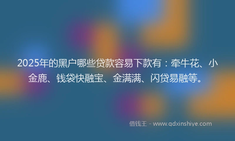 2025年的黑户哪些贷款容易下款有：牵牛花、小金鹿、钱袋快融宝、金满满、闪贷易融等。