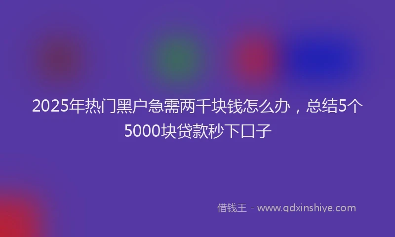 2025年热门黑户急需两千块钱怎么办，总结5个5000块贷款秒下口子