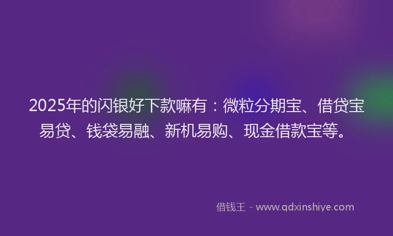 2025年的闪银好下款嘛有：微粒分期宝、借贷宝易贷、钱袋易融、新机易购、现金借款宝等。