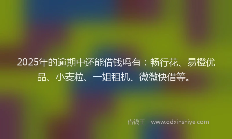 2025年的逾期中还能借钱吗有：畅行花、易橙优品、小麦粒、一姐租机、微微快借等。