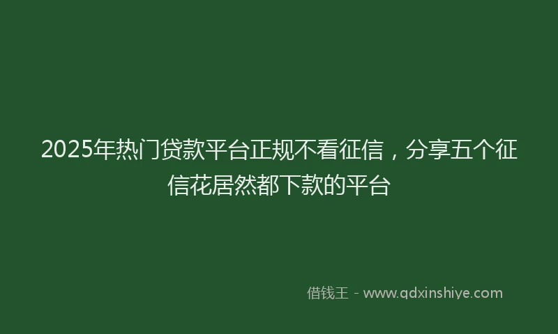 2025年热门贷款平台正规不看征信，分享五个征信花居然都下款的平台