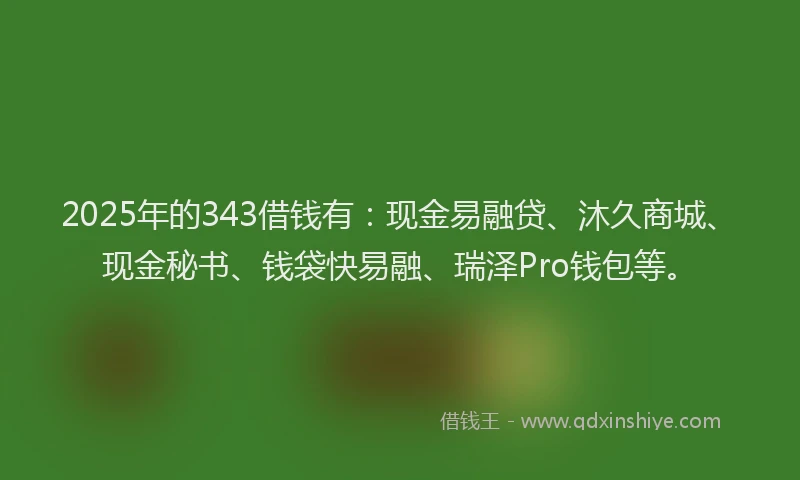 2025年的343借钱有：现金易融贷、沐久商城、现金秘书、钱袋快易融、瑞泽Pro钱包等。