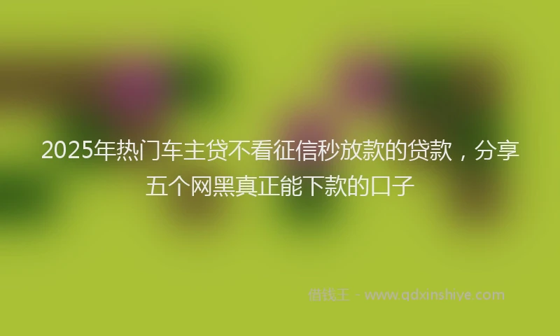 2025年热门车主贷不看征信秒放款的贷款，分享五个网黑真正能下款的口子