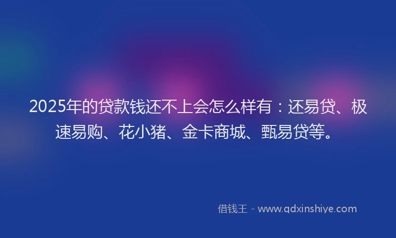 2025年的贷款钱还不上会怎么样有：还易贷、极速易购、花小猪、金卡商城、甄易贷等。