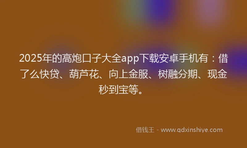 2025年的高炮口子大全app下载安卓手机有：借了么快贷、葫芦花、向上金服、树融分期、现金秒到宝等。