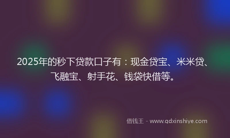 2025年的秒下贷款口子有：现金贷宝、米米贷、飞融宝、射手花、钱袋快借等。