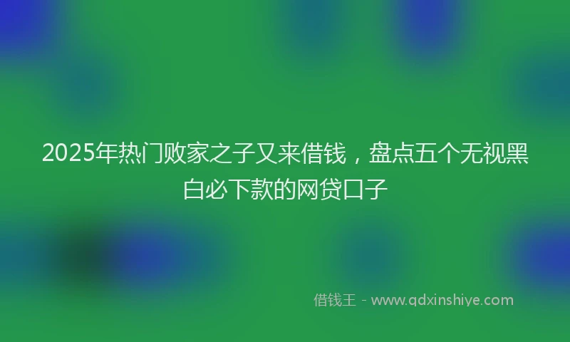 2025年热门败家之子又来借钱，盘点五个无视黑白必下款的网贷口子