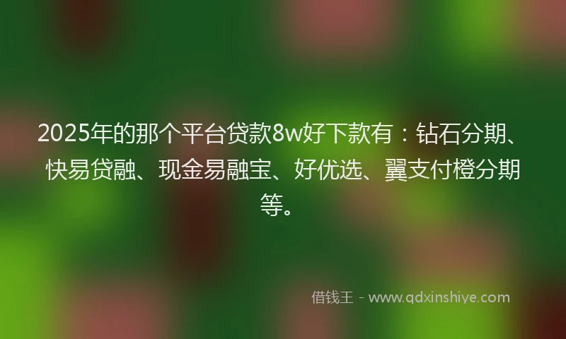 2025年的那个平台贷款8w好下款有：钻石分期、快易贷融、现金易融宝、好优选、翼支付橙分期等。