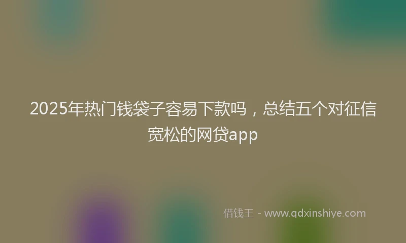 2025年热门钱袋子容易下款吗，总结五个对征信宽松的网贷app