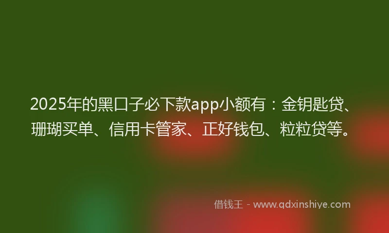 2025年的黑口子必下款app小额有：金钥匙贷、珊瑚买单、信用卡管家、正好钱包、粒粒贷等。