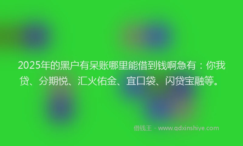 2025年的黑户有呆账哪里能借到钱啊急有：你我贷、分期悦、汇火佑金、宜口袋、闪贷宝融等。