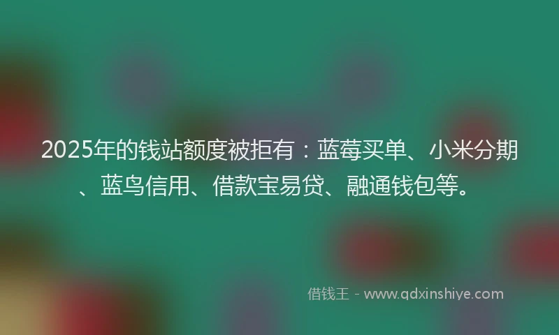 2025年的钱站额度被拒有：蓝莓买单、小米分期、蓝鸟信用、借款宝易贷、融通钱包等。