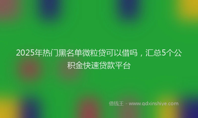 2025年热门黑名单微粒贷可以借吗，汇总5个公积金快速贷款平台