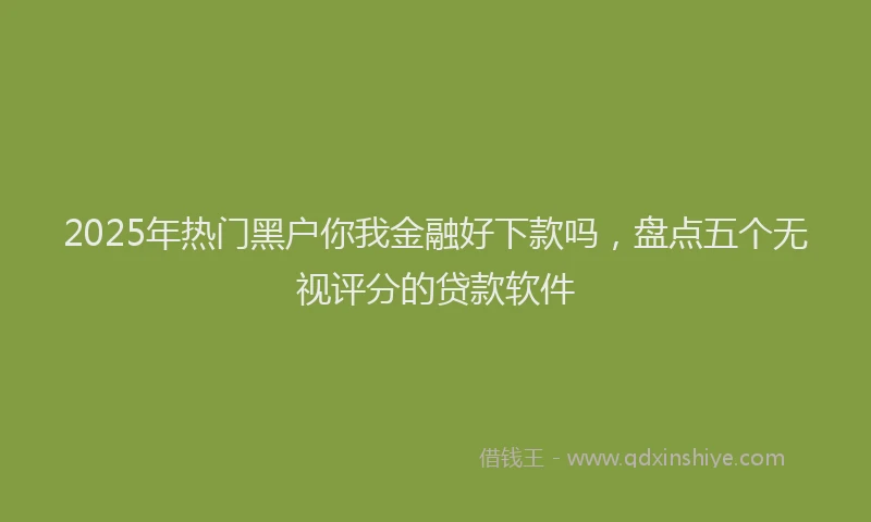 2025年热门黑户你我金融好下款吗，盘点五个无视评分的贷款软件