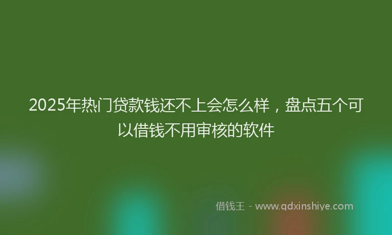 2025年热门贷款钱还不上会怎么样，盘点五个可以借钱不用审核的软件