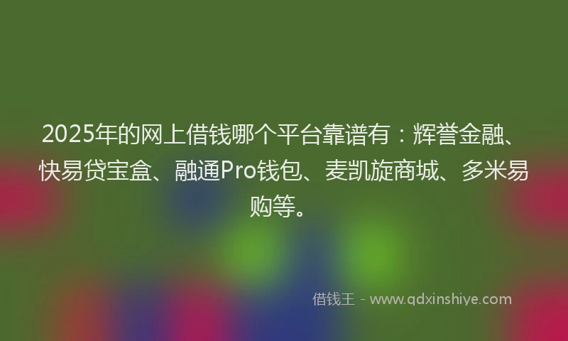 2025年的网上借钱哪个平台靠谱有：辉誉金融、快易贷宝盒、融通Pro钱包、麦凯旋商城、多米易购等。