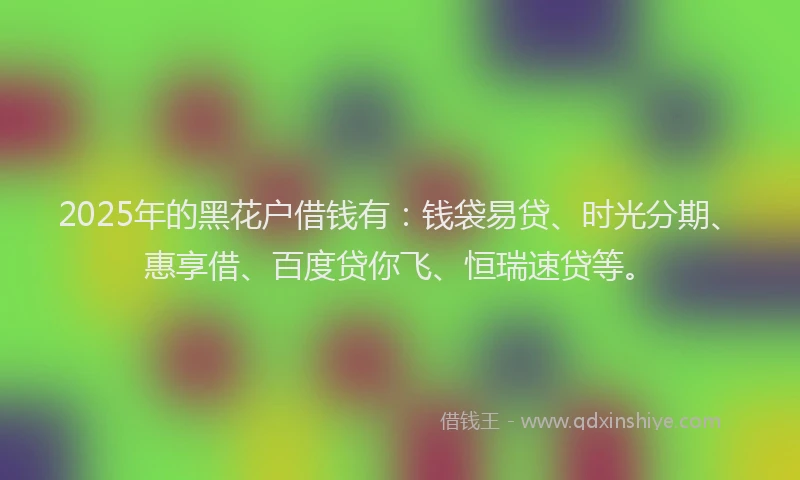 2025年的黑花户借钱有：钱袋易贷、时光分期、惠享借、百度贷你飞、恒瑞速贷等。