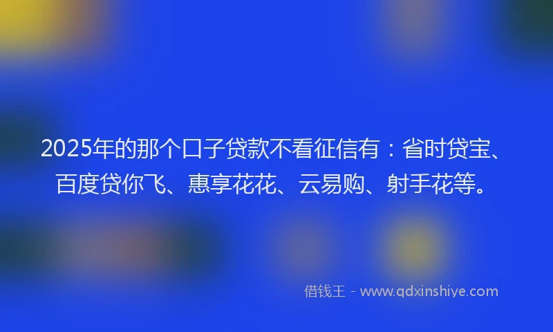 2025年的那个口子贷款不看征信有：省时贷宝、百度贷你飞、惠享花花、云易购、射手花等。